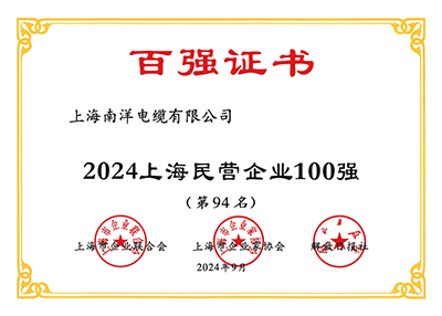 上海民营企业100强